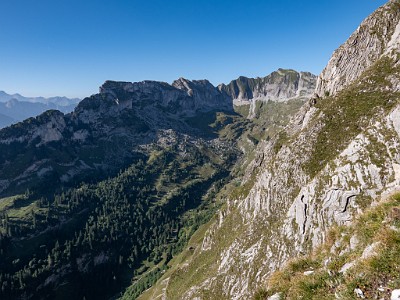 DCLDLUX8-20250818-1000932