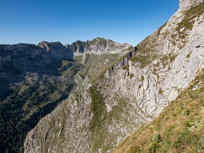 DCLDLUX8-20250818-1000935