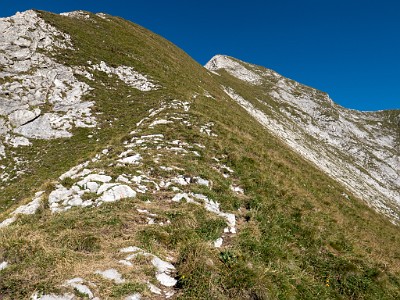 DCLDLUX8-20250818-1000937