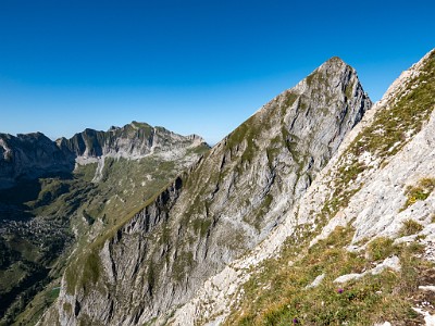 DCLDLUX8-20250818-1000939