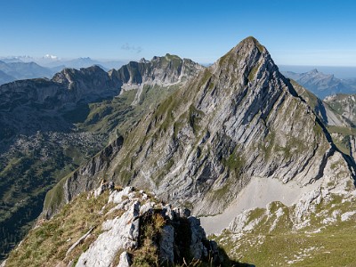 DCLDLUX8-20250818-1000947