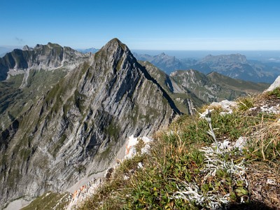 DCLDLUX8-20250818-1000953