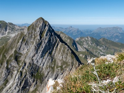 DCLDLUX8-20250818-1000954