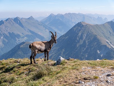 DCLDLUX8-20250818-1000972