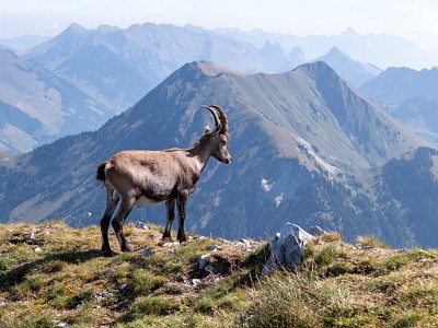 DCLDLUX8-20250818-1000975