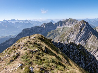 DCLDLUX8-20250818-1000986