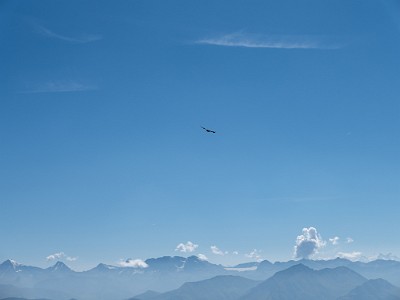 DCLDLUX8-20250818-1000994