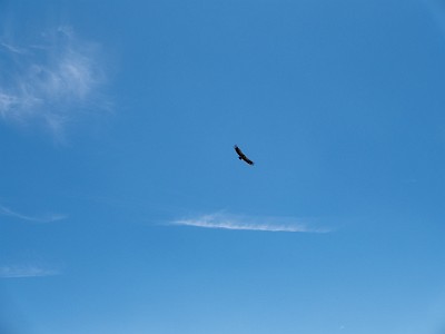 DCLDLUX8-20250818-1000995