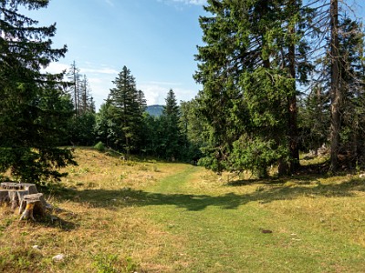 DCCG1X-20250713-1283