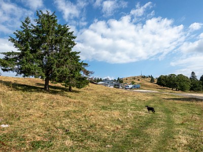 DCCG1X-20250713-1284