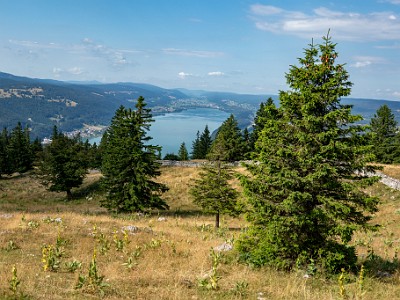 DCCG1X-20250713-1287