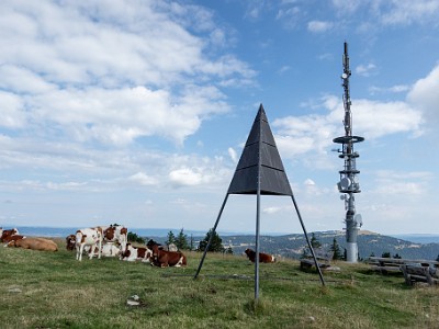 DCCG1X-20250713-1292