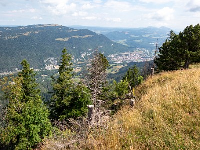 DCCG1X-20250713-1300