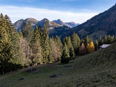 DCLDLUX8-20251113-1002007