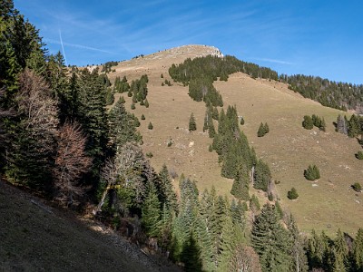 DCLDLUX8-20251113-1002009