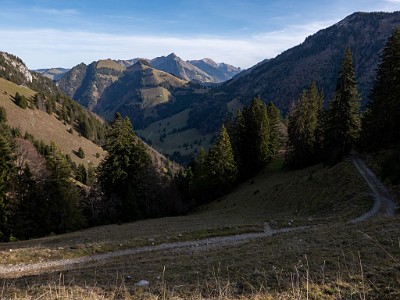 DCLDLUX8-20251113-1002010