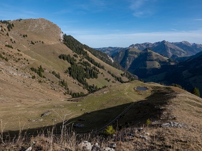 DCLDLUX8-20251113-1002011