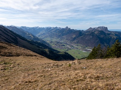 DCLDLUX8-20251113-1002016