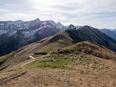 DCLDLUX8-20251113-1002017