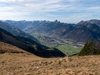 DCLDLUX8-20251113-1002018