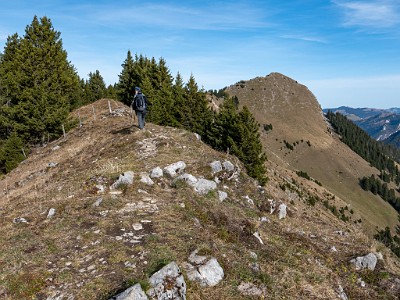 DCLDLUX8-20251113-1002019