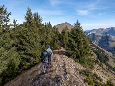 DCLDLUX8-20251113-1002020