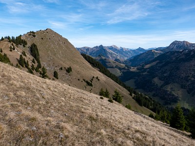 DCLDLUX8-20251113-1002021