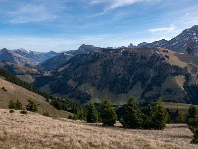 DCLDLUX8-20251113-1002022