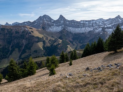 DCLDLUX8-20251113-1002023