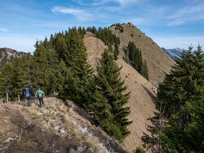 DCLDLUX8-20251113-1002024