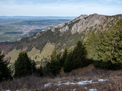 DCLDLUX8-20251113-1002025