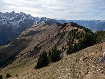 DCLDLUX8-20251113-1002026