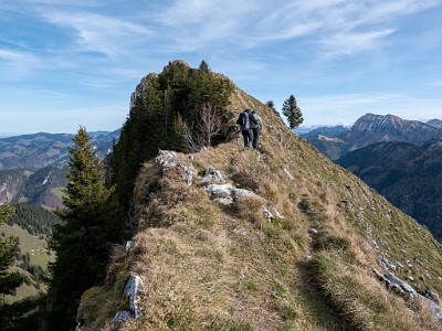 DCLDLUX8-20251113-1002027