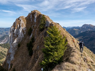 DCLDLUX8-20251113-1002028