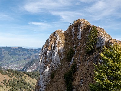 DCLDLUX8-20251113-1002029