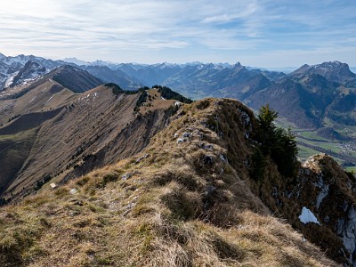 DCLDLUX8-20251113-1002032