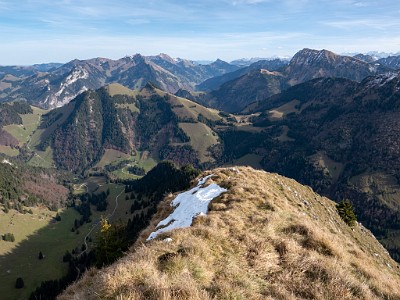 DCLDLUX8-20251113-1002034