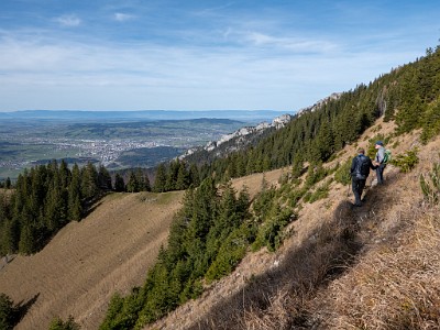 DCLDLUX8-20251113-1002036