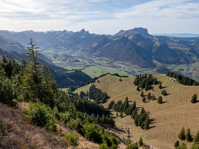 DCLDLUX8-20251113-1002037