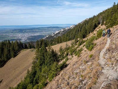 DCLDLUX8-20251113-1002038