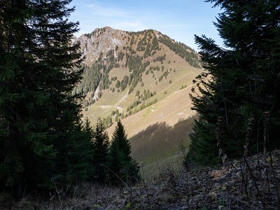 DCLDLUX8-20251113-1002039