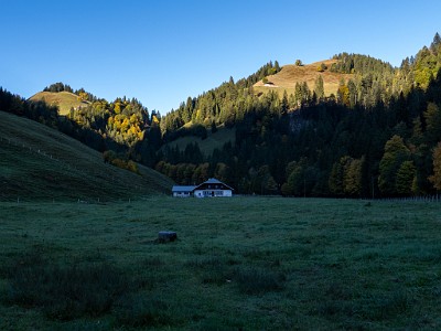 DCLDLUX8-20251007-1001602