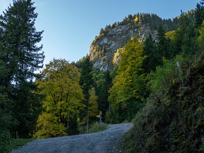 DCLDLUX8-20251007-1001604