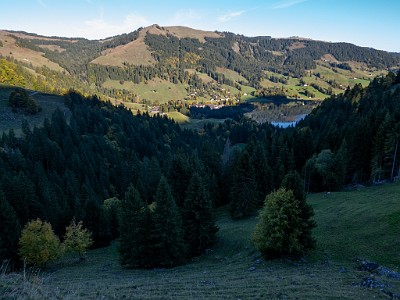 DCLDLUX8-20251007-1001605