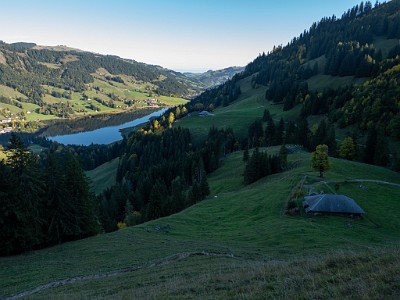 DCLDLUX8-20251007-1001606