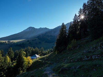 DCLDLUX8-20251007-1001612