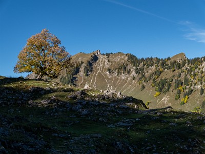 DCLDLUX8-20251007-1001614