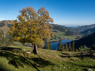 DCLDLUX8-20251007-1001620