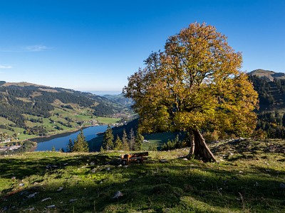 DCLDLUX8-20251007-1001628