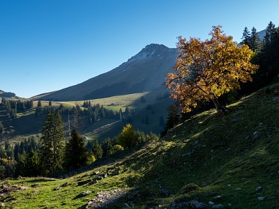 DCLDLUX8-20251007-1001629